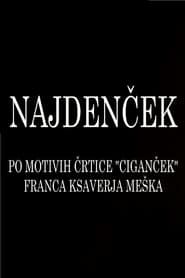 Najdenček (2011)