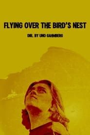 Flying Over The Bird's Nest series tv