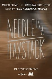 Needle In A Haystack series tv