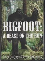 Bigfoot: A Beast on the run series tv