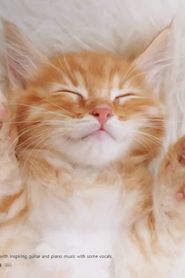 Image Easy Listenings: Cute Kittens to Bring Happiness