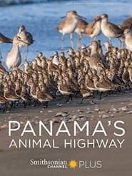Panama's Animal Highway series tv