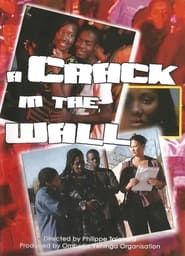 A Crack in the Wall (2009)