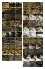 Image Interactions 3: Forest and Stream