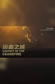 Caught in the ceasefire series tv