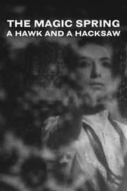 Image A Hawk and a Hacksaw - The Magic Spring