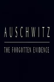 Auschwitz: The Forgotten Evidence series tv
