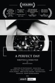 A Perfect Day series tv