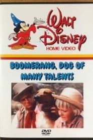 watch Boomerang, Dog of Many Talents