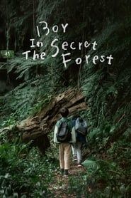 Image Boy in the Secret Forest