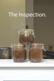The Inspection series tv