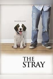 watch The Stray