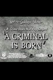 A Criminal Is Born series tv