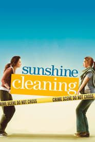 Affiche de Sunshine Cleaning