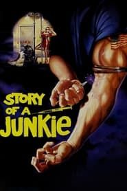 Affiche de Story of a Junkie