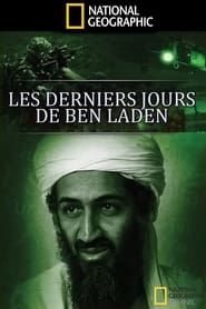 The Last Days of Osama Bin Laden series tv