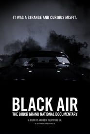 Black Air: The Buick Grand National Documentary series tv