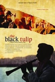 The Black Tulip-hd