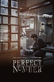 Perfect Number series tv