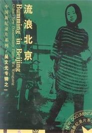 流浪北京 (1990)