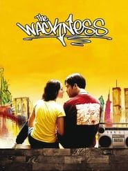 The Wackness series tv