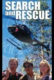 Image Search and Rescue 1994