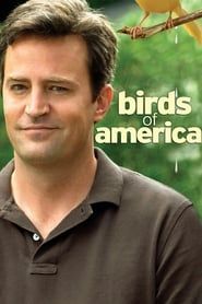 Birds of America-hd