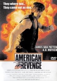 Affiche de American Revenge
