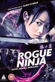 Rogue Ninja series tv