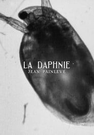 La daphnie (1928)