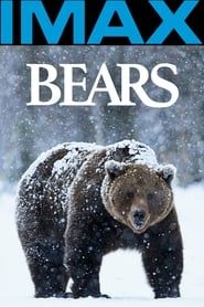 IMAX Nature - l'Ours-hd