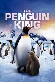 The Penguin King series tv