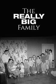 The Really Big Family series tv