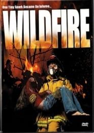 Image Wild Fire 2003