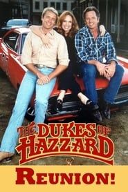 The Dukes of Hazzard: Reunion! series tv