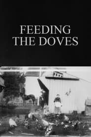 Image Feeding the Doves