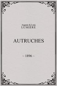 Autruches 1896 streaming