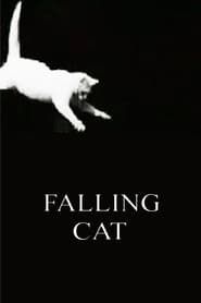 Image Falling Cat
