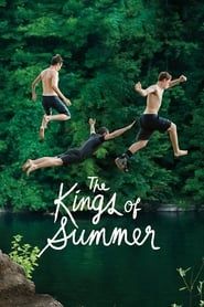 Affiche de The Kings of Summer
