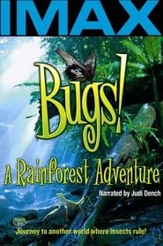 Image Bugs ! : A Rainforest Adventure