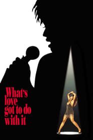 What's Love Got to Do with It series tv