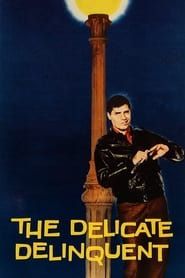 The Delicate Delinquent series tv