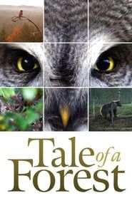 Tale of a Forest (2012)