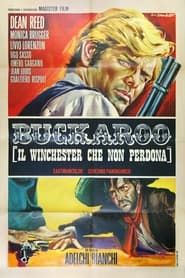Buckaroo: The Winchester Does Not Forgive series tv