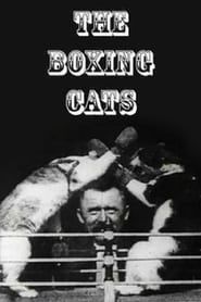 Image Prof. Welton's Boxing Cats
