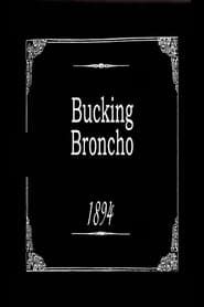 Bucking Broncho 1894 streaming