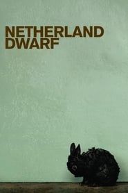 Netherland Dwarf series tv