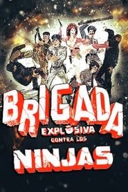 Explosive Brigade Against the Ninjas series tv