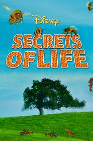 Secrets of Life series tv