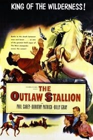 The Outlaw Stallion series tv